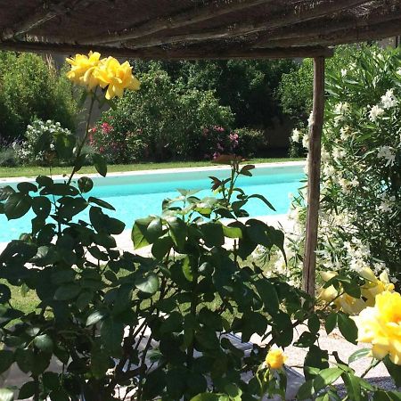 Agriturismo Lupo Vecchio Гросето Екстериор снимка