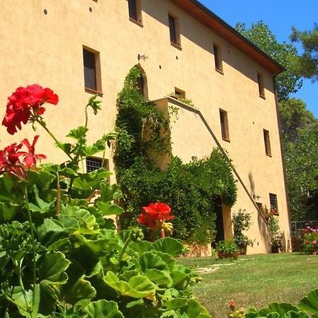 Agriturismo Lupo Vecchio Гросето Екстериор снимка