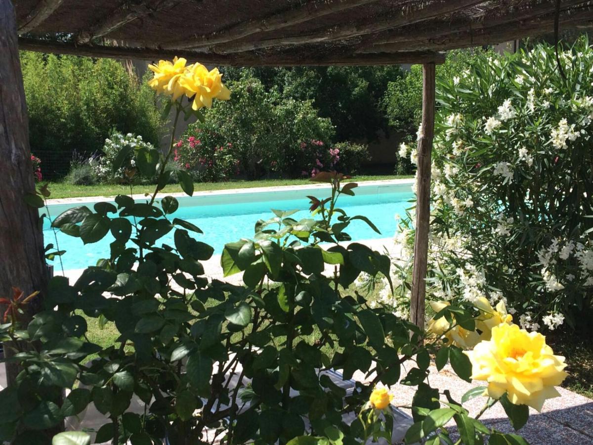 Agriturismo Lupo Vecchio Гросето Екстериор снимка