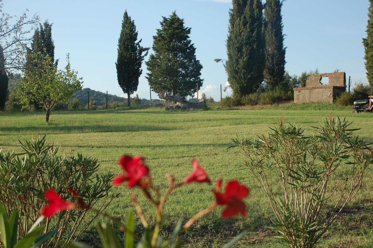 Agriturismo Lupo Vecchio Гросето Екстериор снимка