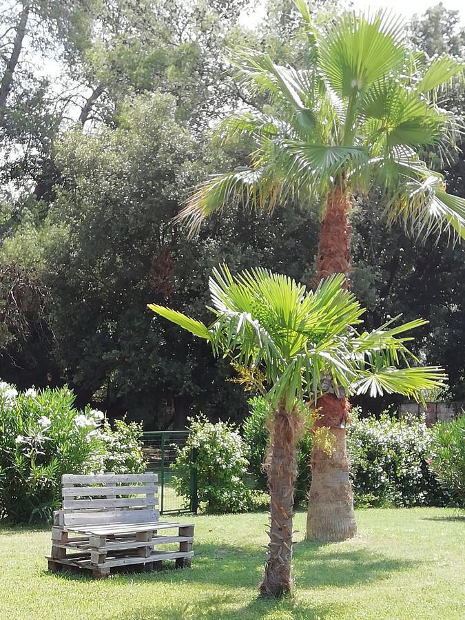 Agriturismo Lupo Vecchio Гросето Екстериор снимка