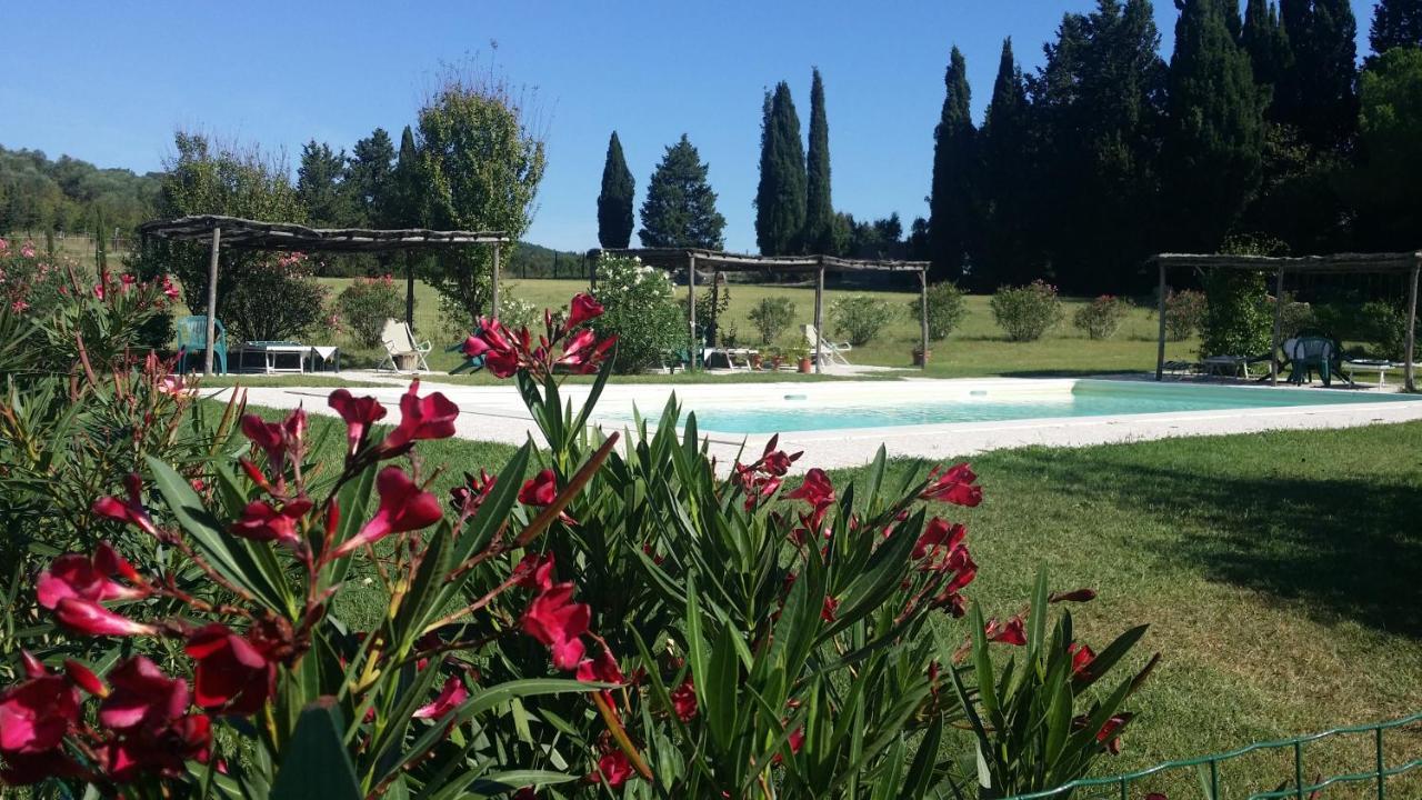 Agriturismo Lupo Vecchio Гросето Екстериор снимка