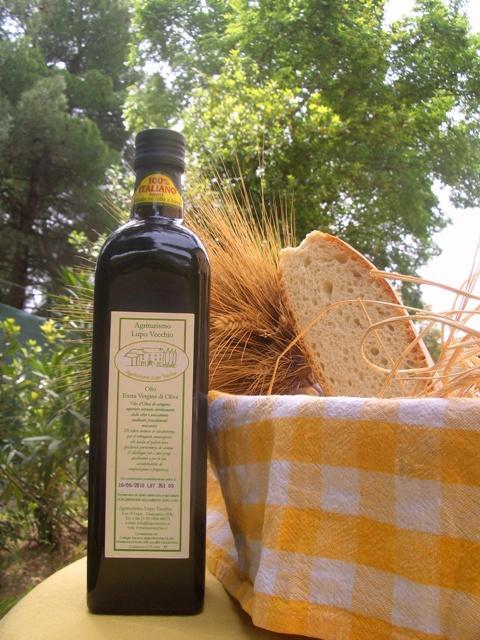 Agriturismo Lupo Vecchio Гросето Екстериор снимка