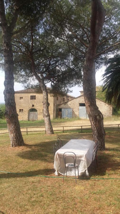 Agriturismo Lupo Vecchio Гросето Екстериор снимка